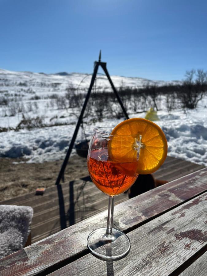 Berntebu Villa Uvdal Luaran gambar